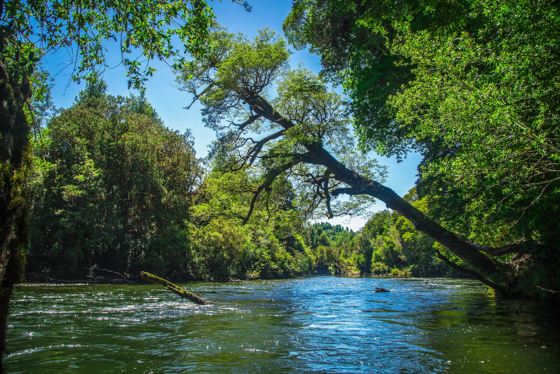 Paisaje de rios y montanas en Fundo Risopatron junto al corredor de Queulat