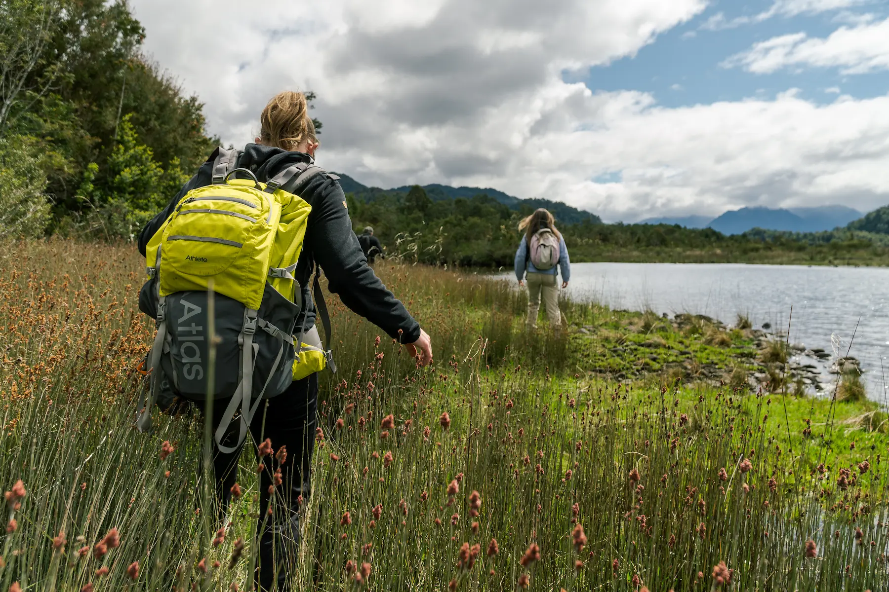 Vista panoramica del Santuario Quitralco con aguas calmas del fiordo patagonico