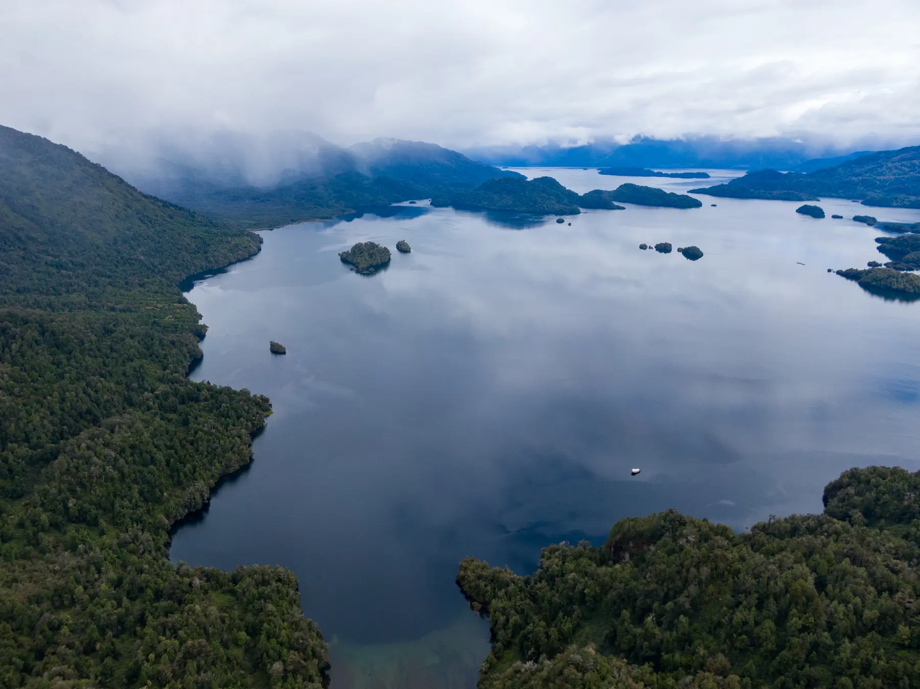 Paisaje de conservacion en Santuario Quitralco con vegetacion nativa y fiordo